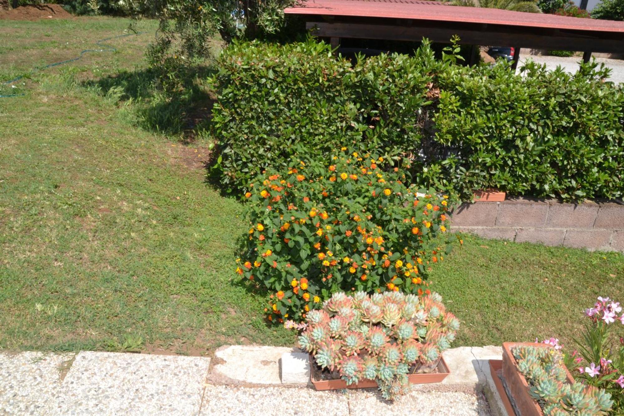 La Mimosa Pensión 2*