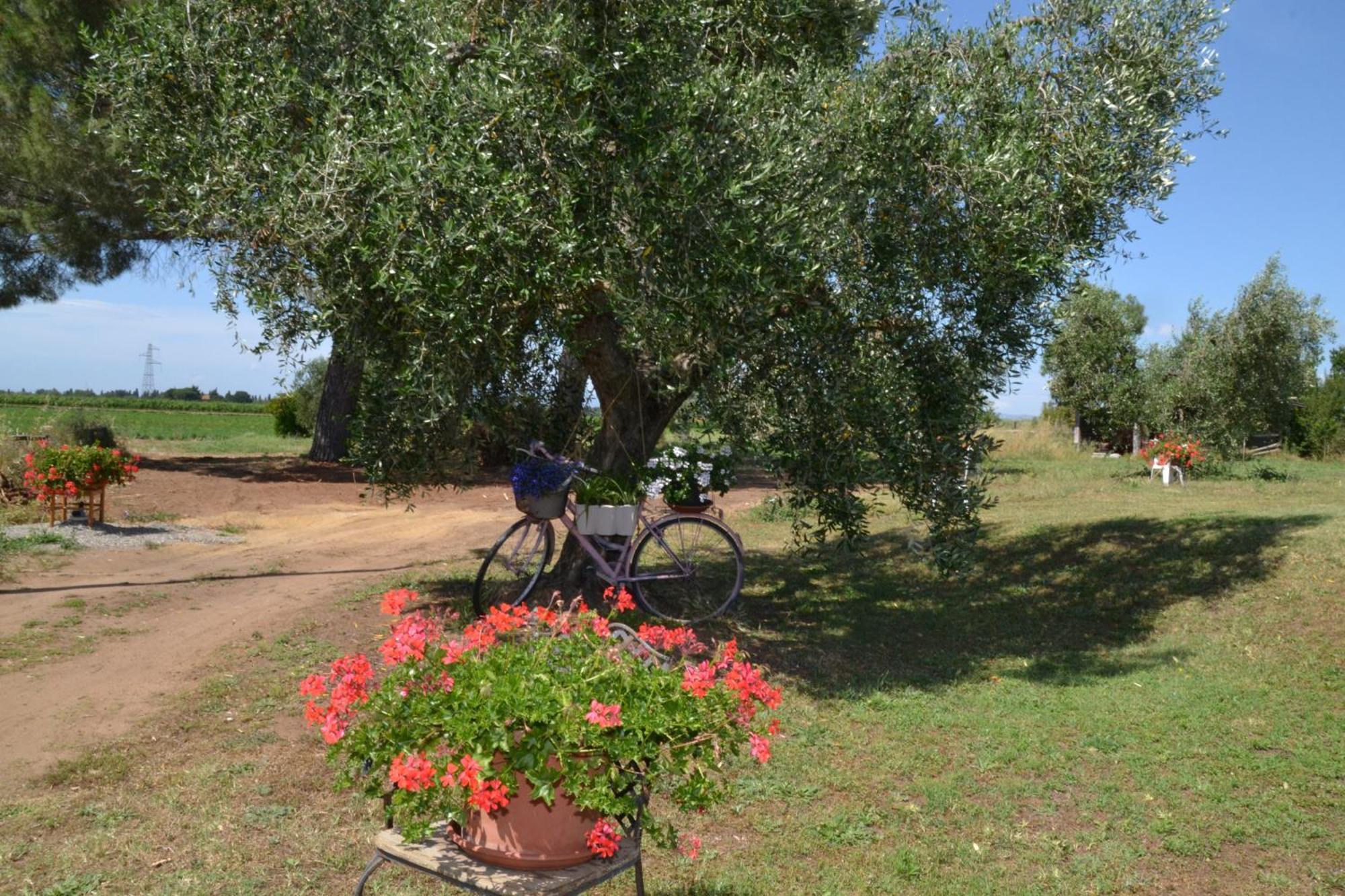 Gasthof La Mimosa