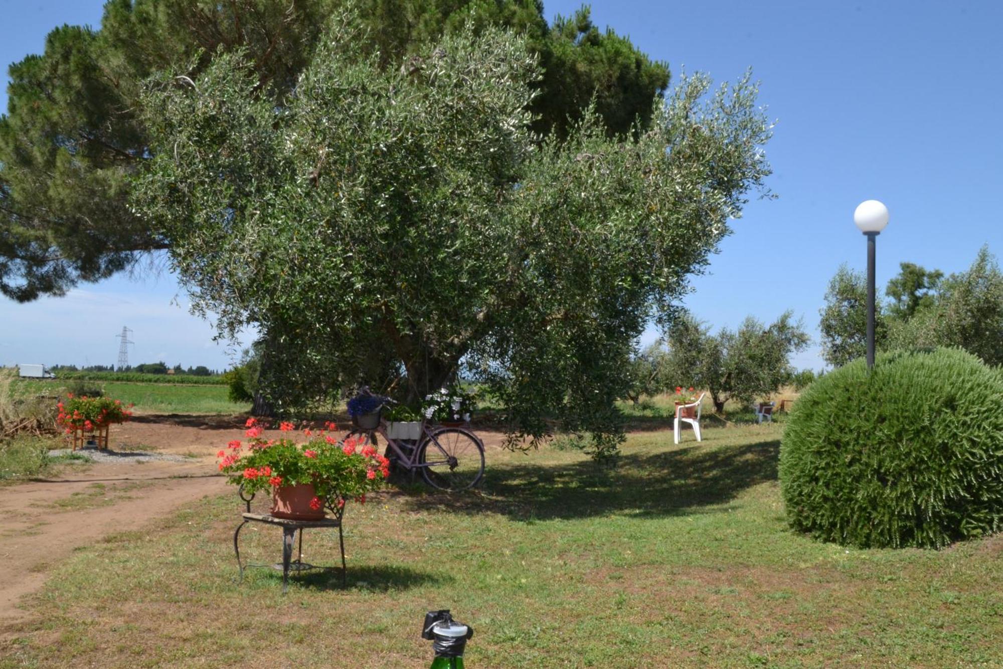 La Mimosa Gasthof 2*