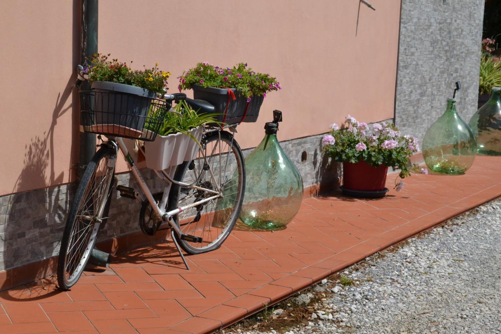 La Mimosa Gasthof