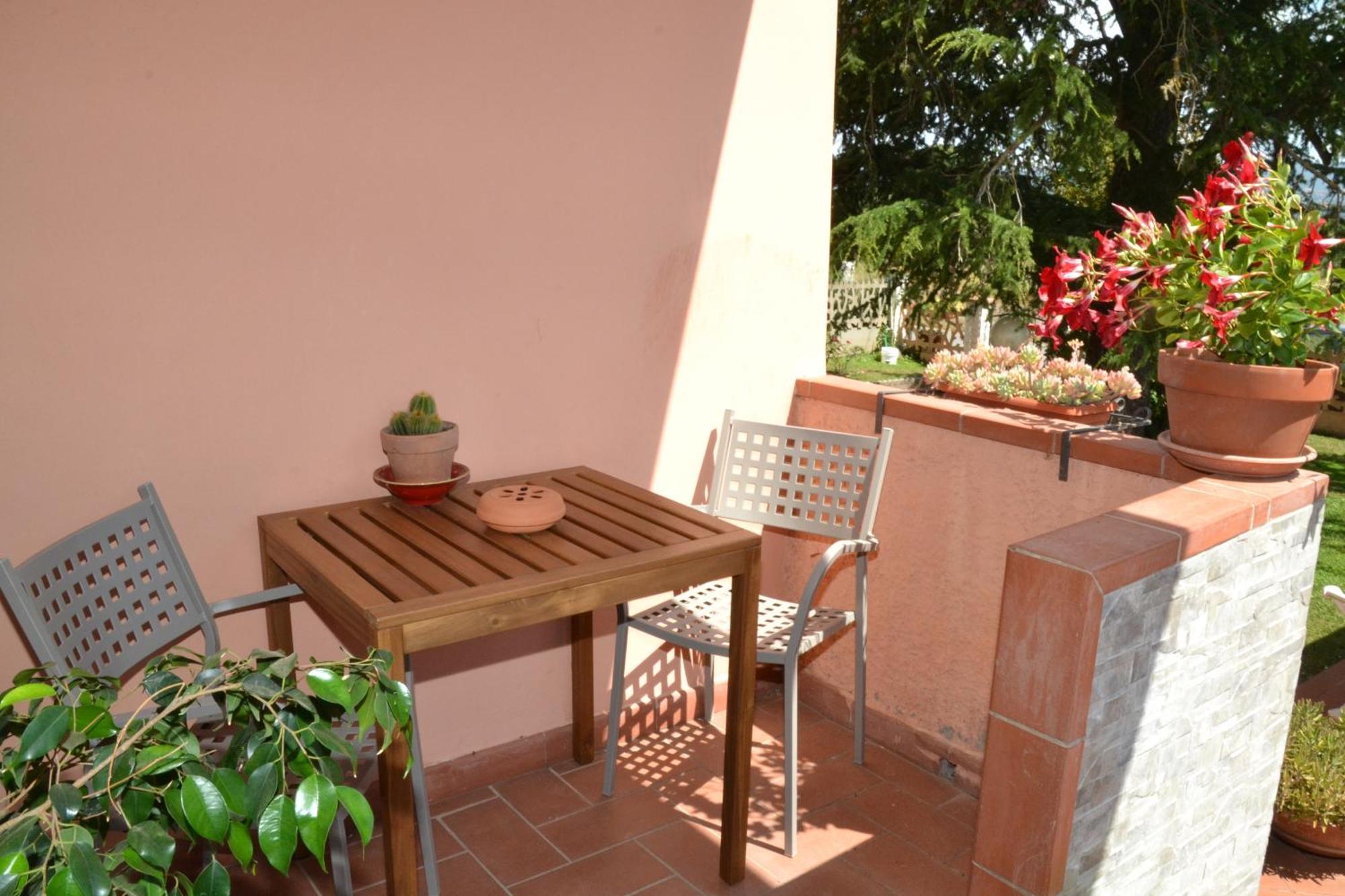 La Mimosa Bolgheri